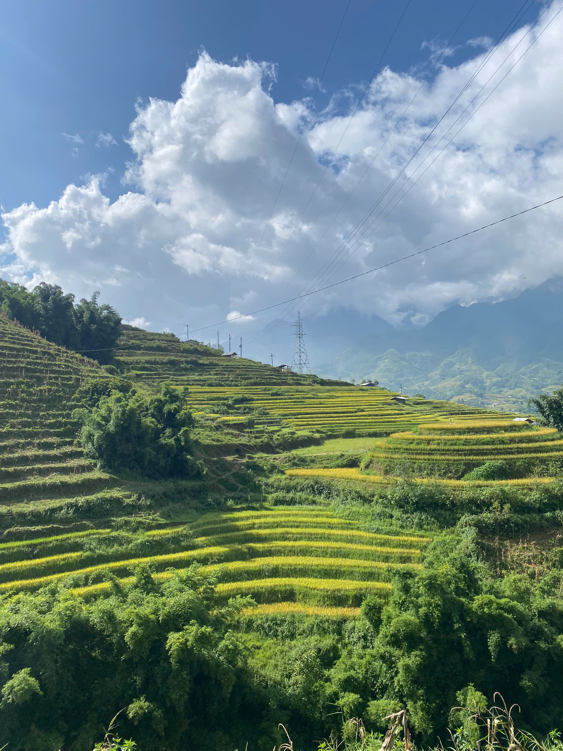 Half-Day Sapa Cultural Tour
